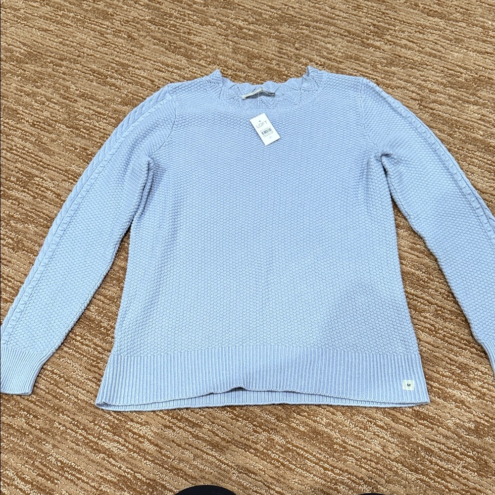 LOFT Pale Blue Crewneck Sweater with Cable Trim